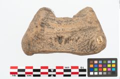 Foto von Hirschgeweihhammer (NHMW-PRAE-085891)